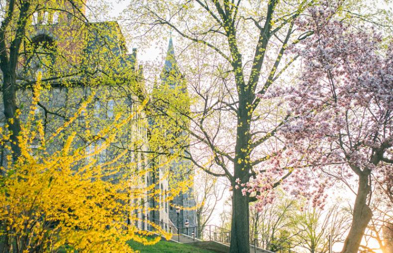 Linderman Library behind some colorful flowers